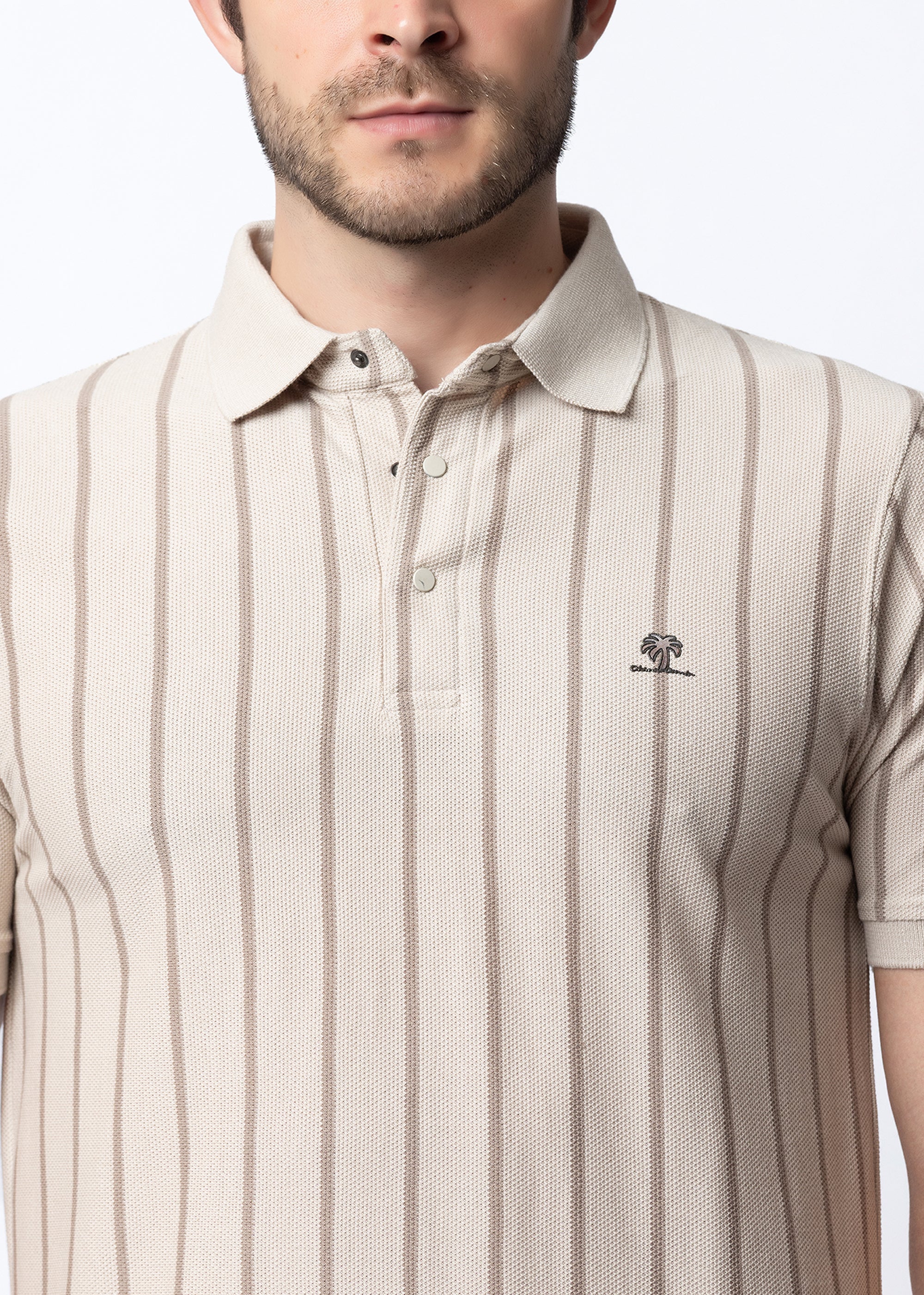 Beige Vertical Striped Textured Knit Polo T-Shirt