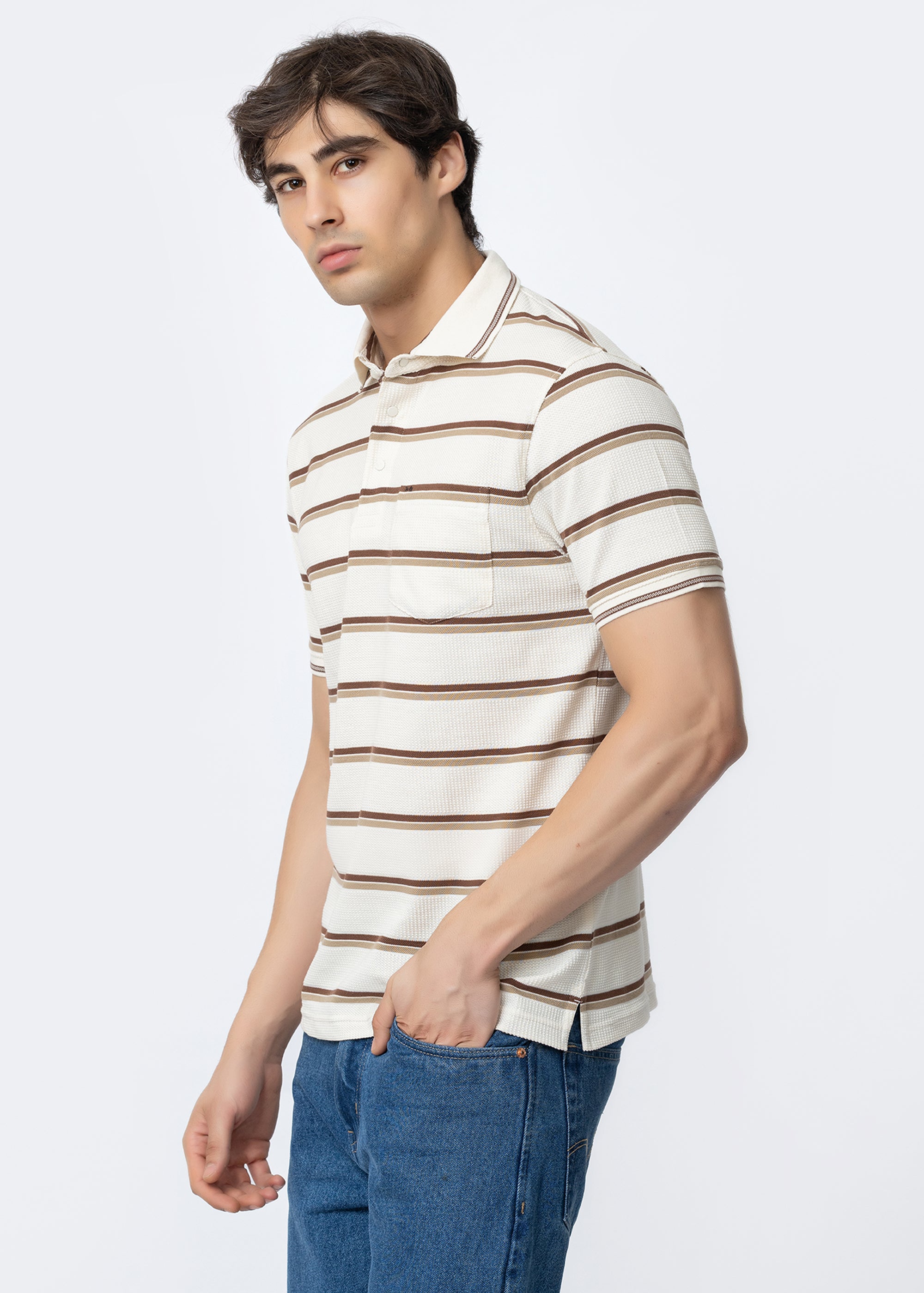 Brown Horizontal Stripe Textured Polo T-Shirt