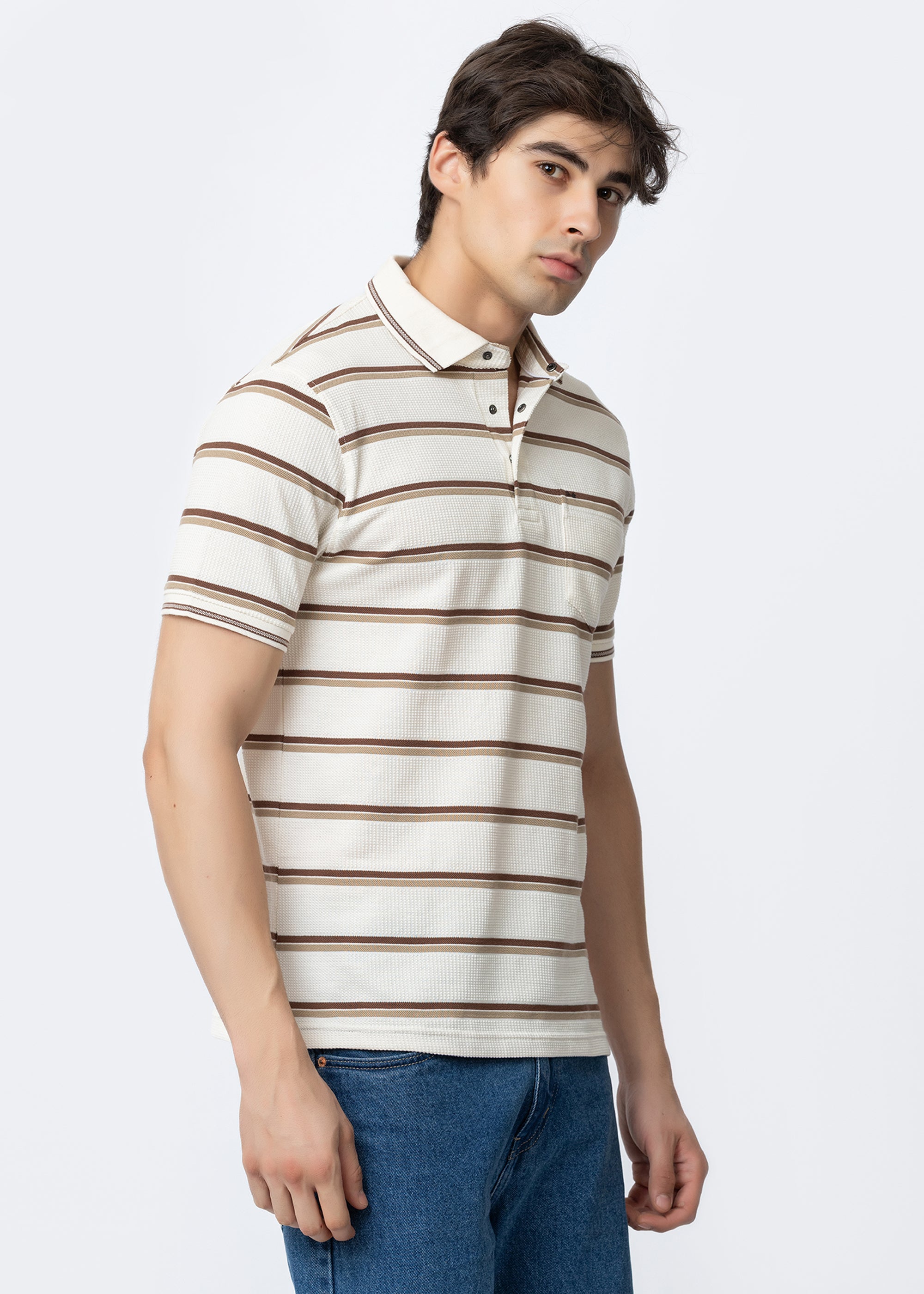 Brown Horizontal Stripe Textured Polo T-Shirt