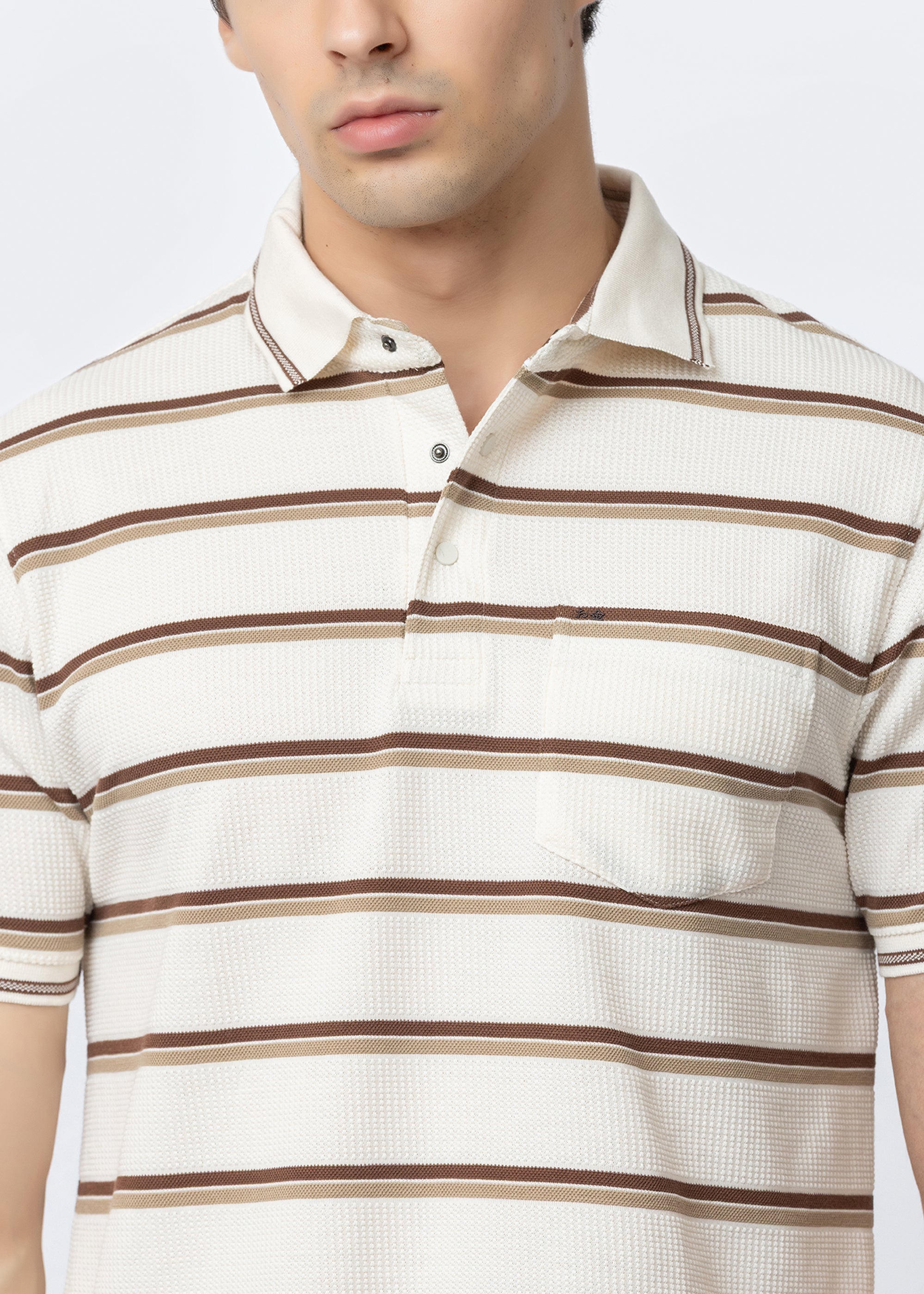 Brown Horizontal Stripe Textured Polo T-Shirt
