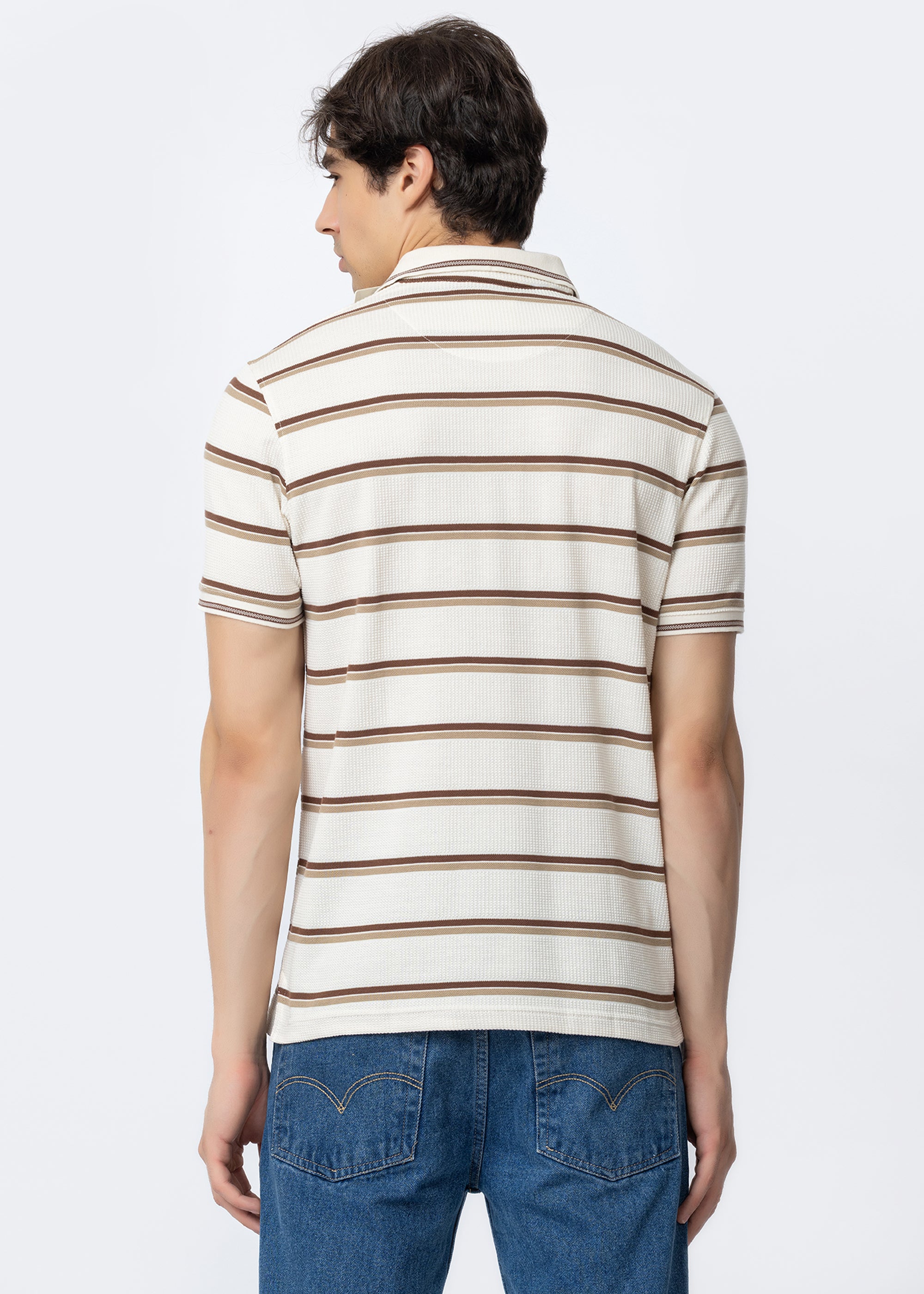 Brown Horizontal Stripe Textured Polo T-Shirt